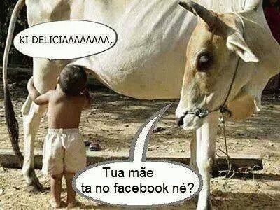 - facebook