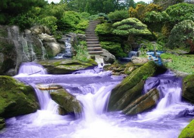 Zen Garden with Purple Rushing Water