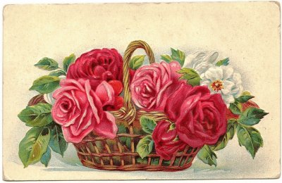 Vintage Postcard Roses