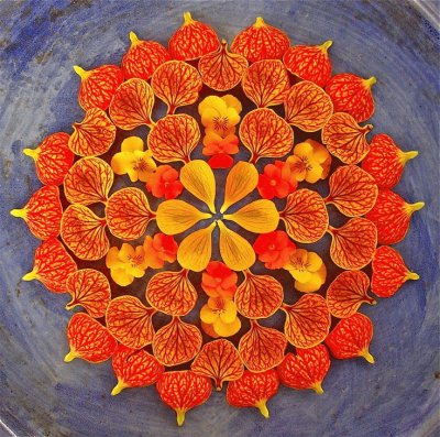 Flower Petal Mandala