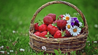 Basket with Strawberry 's