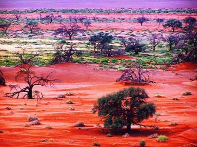 COLORES EN LA LLANURA