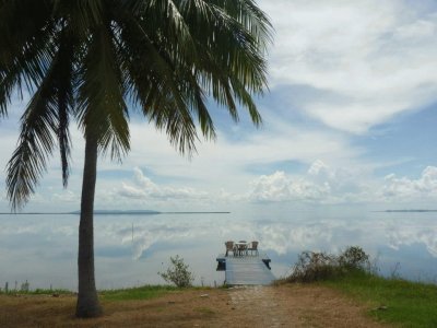 Kayo Coco, Cuba