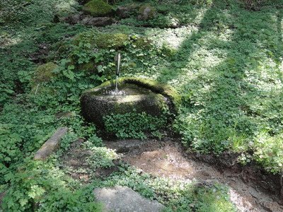 fontaine St Hubert