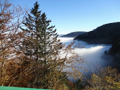 brouillard en Alsace