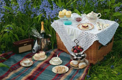 Vintage Picnic in the Bluebell Field