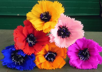 Mexican Crepe Flowers