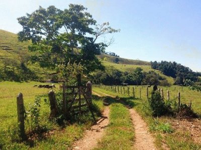 - caminho da roÃ§a!