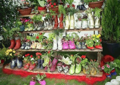 Unique Shoe Planters