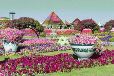 Dubai Miracle Garden