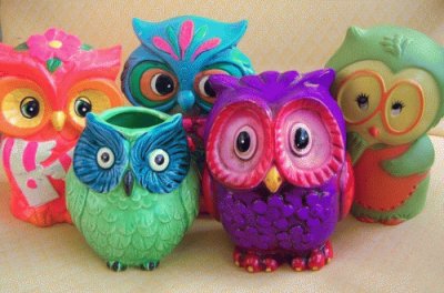 Owl 's