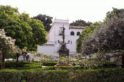 plaza de Santa Cruz