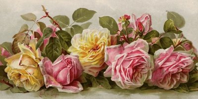 Vintage Roses