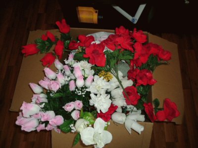 Box of flowers