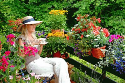 Tea Time on the Floral Balcony