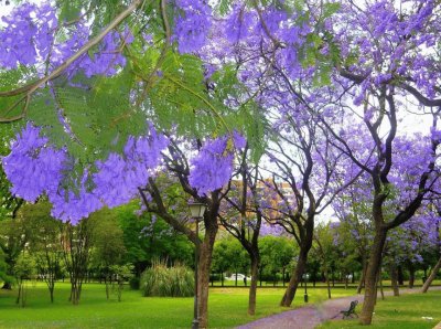 parque de los prÃ­ncipe,sevilla