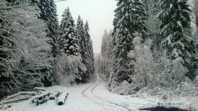 col de MartimprÃ©