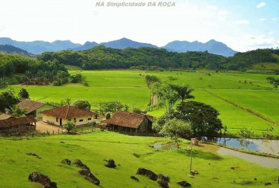 fazenda