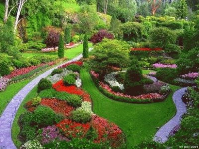 ÃRBOLES EN EL JARDÃN.