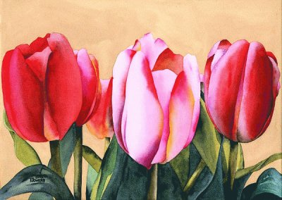 Summer Tulips