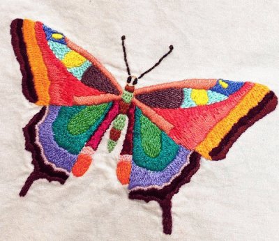 Color Butterfly