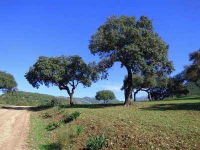 RUMBO AL PANTANO DE LOS HURONES