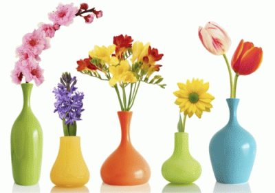 Vasos com flores