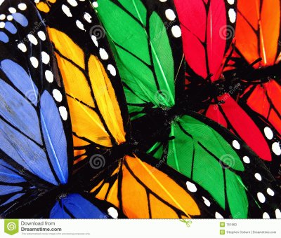 mariposas