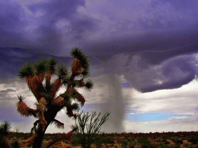 TORMENTA