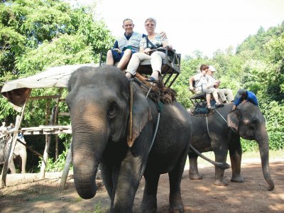 une balade Ã  dos d 'Ã©lÃ©phant