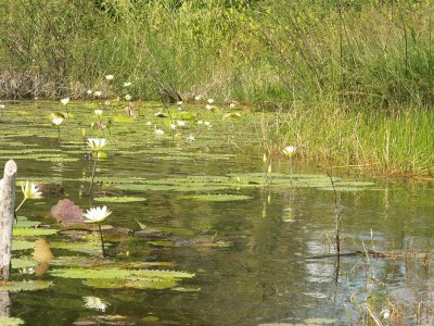 le calme de la riviÃ¨re