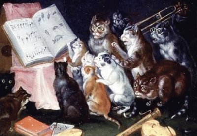 gatti a lezione di musica