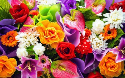 Colorful-Bouquet