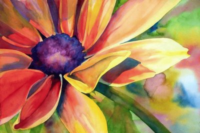 Watercolor Coneflower