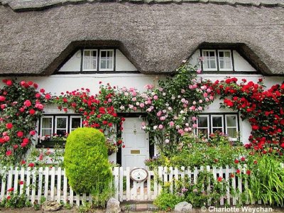 Thatching House England