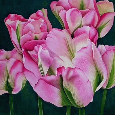 PaintingTulipa