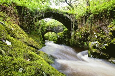 puentes y rios