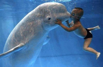 beluga et enfant