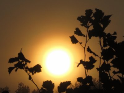 Hazy  'gonna be a hot one ' sunrise