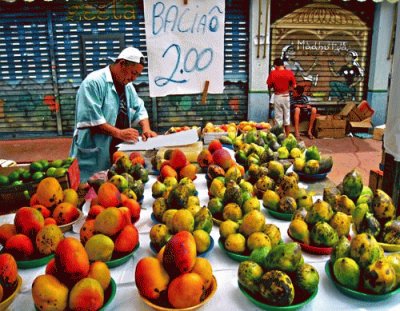 Brazil Market