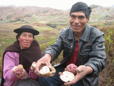 Peru Farmer