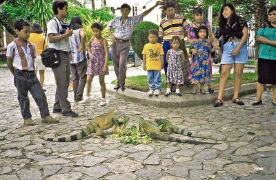 Ecuador 3