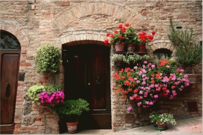 FLORES EN LA PUERTA