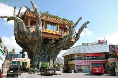 RESTAURANTE EN OKINAWA