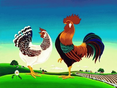 Country Chickens