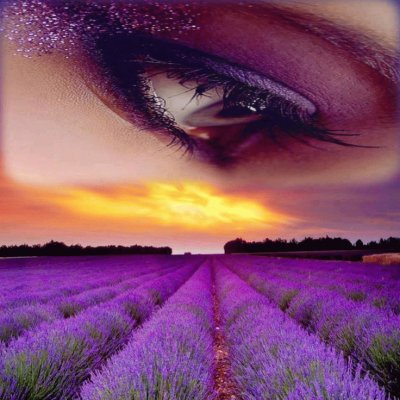 Lavender and Eye