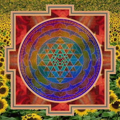 Yantra and the Sunflowers