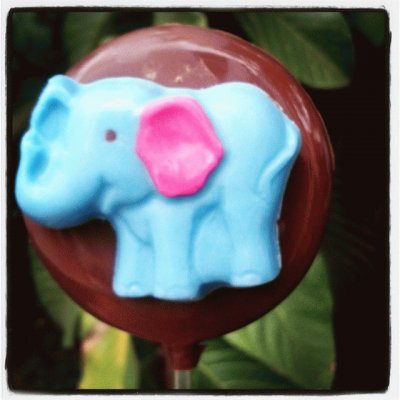 elefante