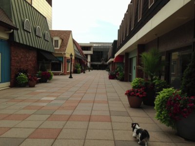 St Louis Courtyard