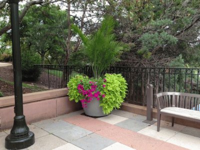 Bench in courtyard